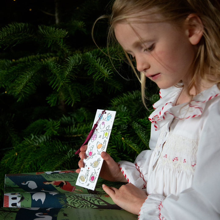 Limited Edition 12 Days of Christmas Exclusive Collector’s Box