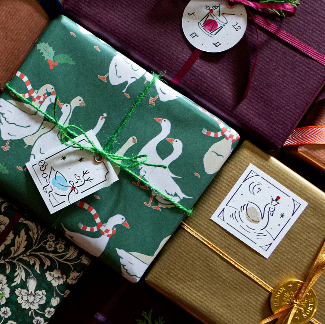 Limited Edition 12 Days of Christmas Exclusive Collector’s Box