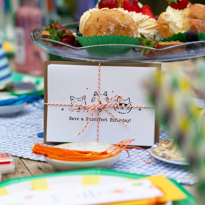 Purrrfect Cool Cats Birthday Card Making Kit