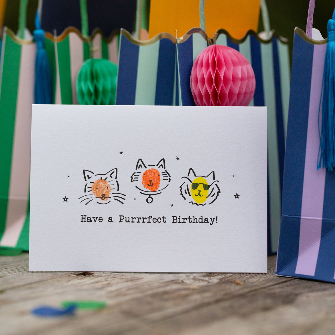 Purrrfect Cool Cats Birthday Card Making Kit