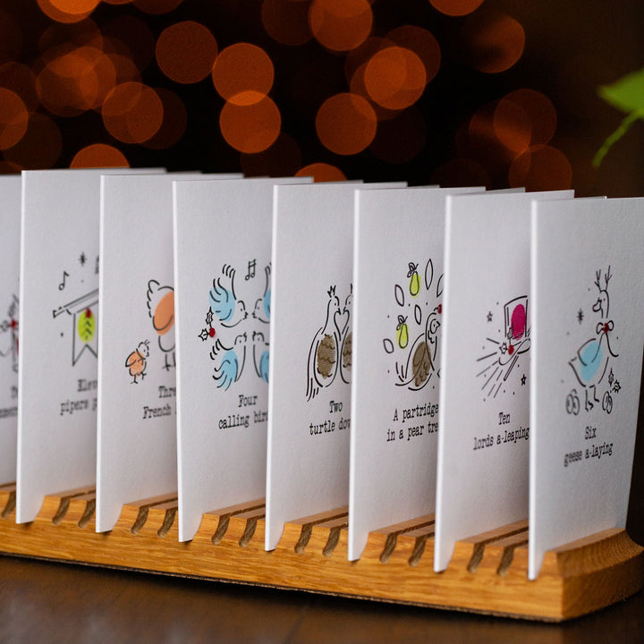 Limited Edition 12 Days of Christmas Exclusive Collector’s Box