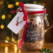 Reindeer Gift Tag Making Kit